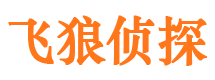 唐县市私家侦探